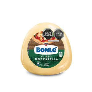 QUESO MOZZARELLA X250GR  BOLA